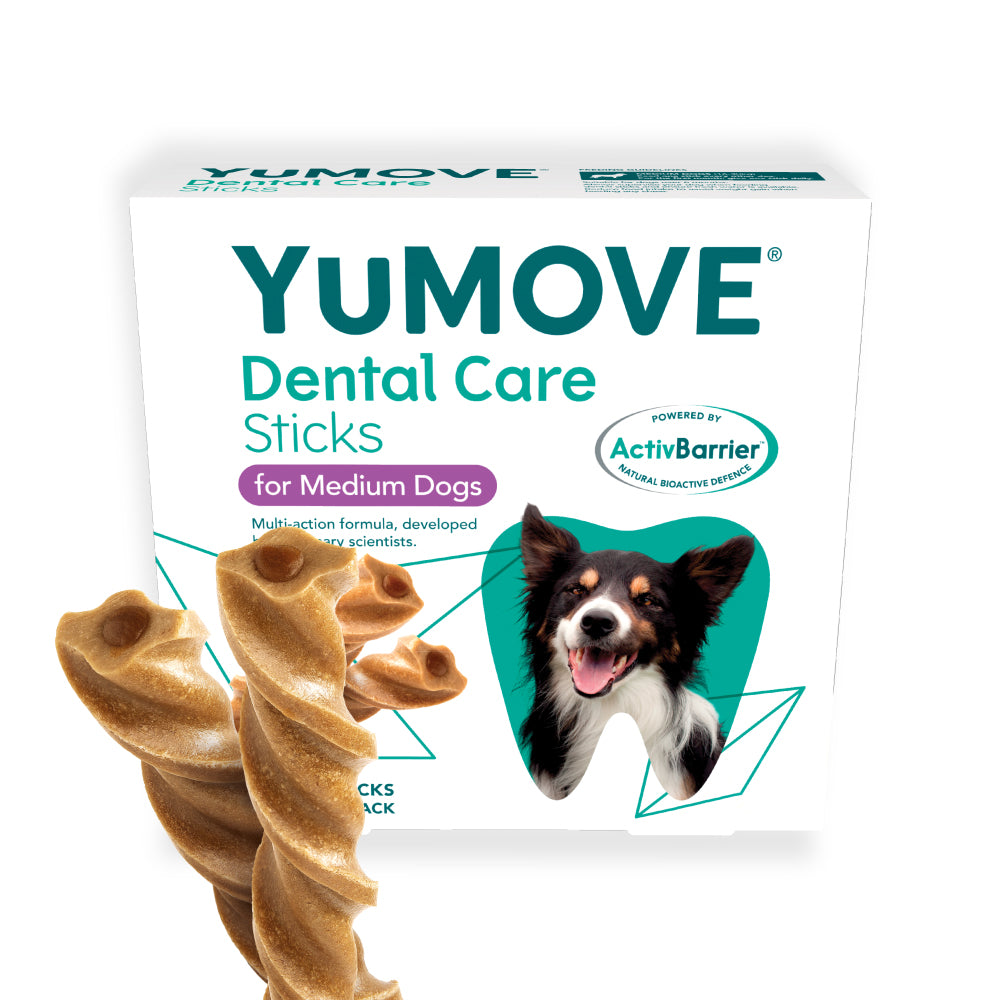 YuMOVE Dental Care Sticks