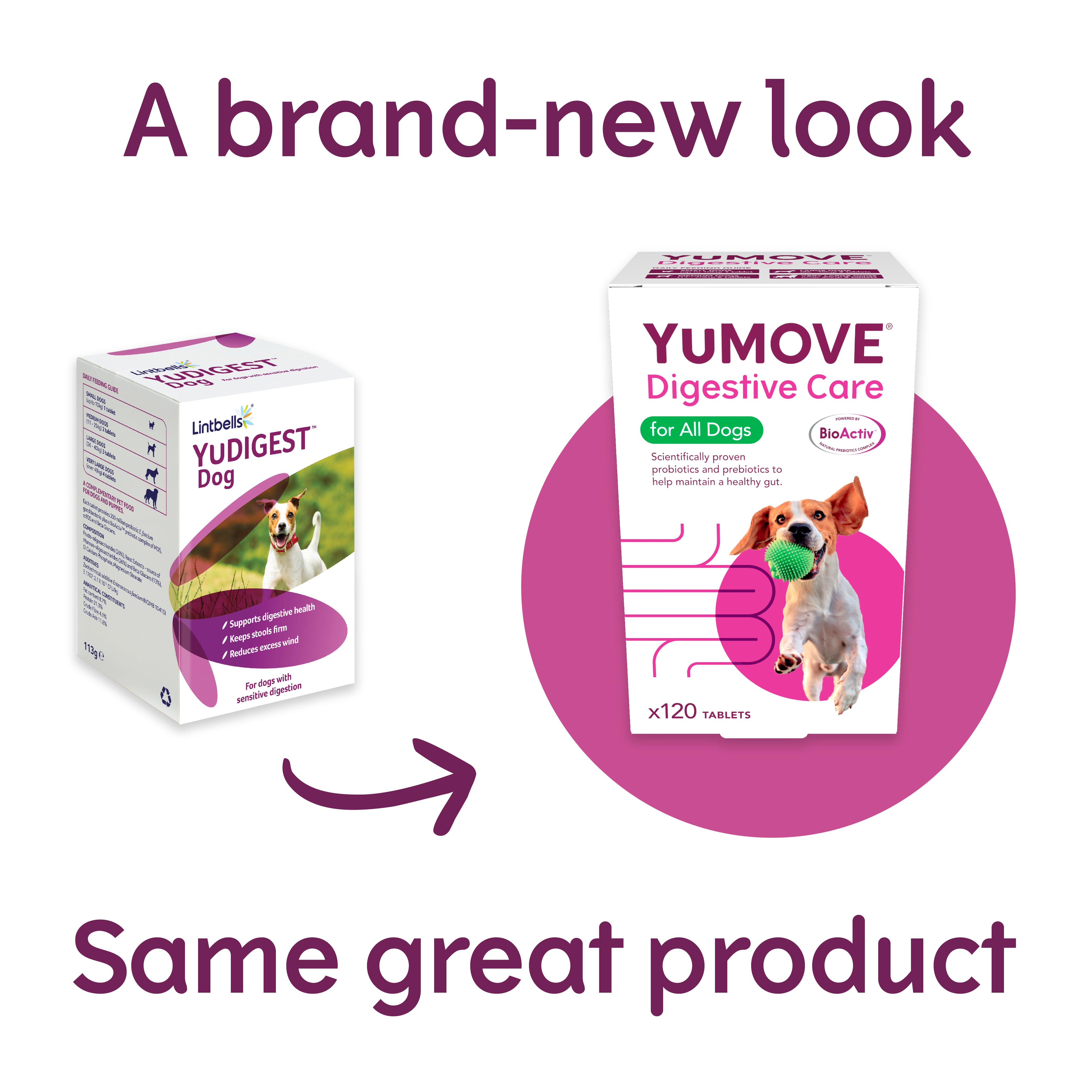 YuMOVE Digestive Care for All Dogs