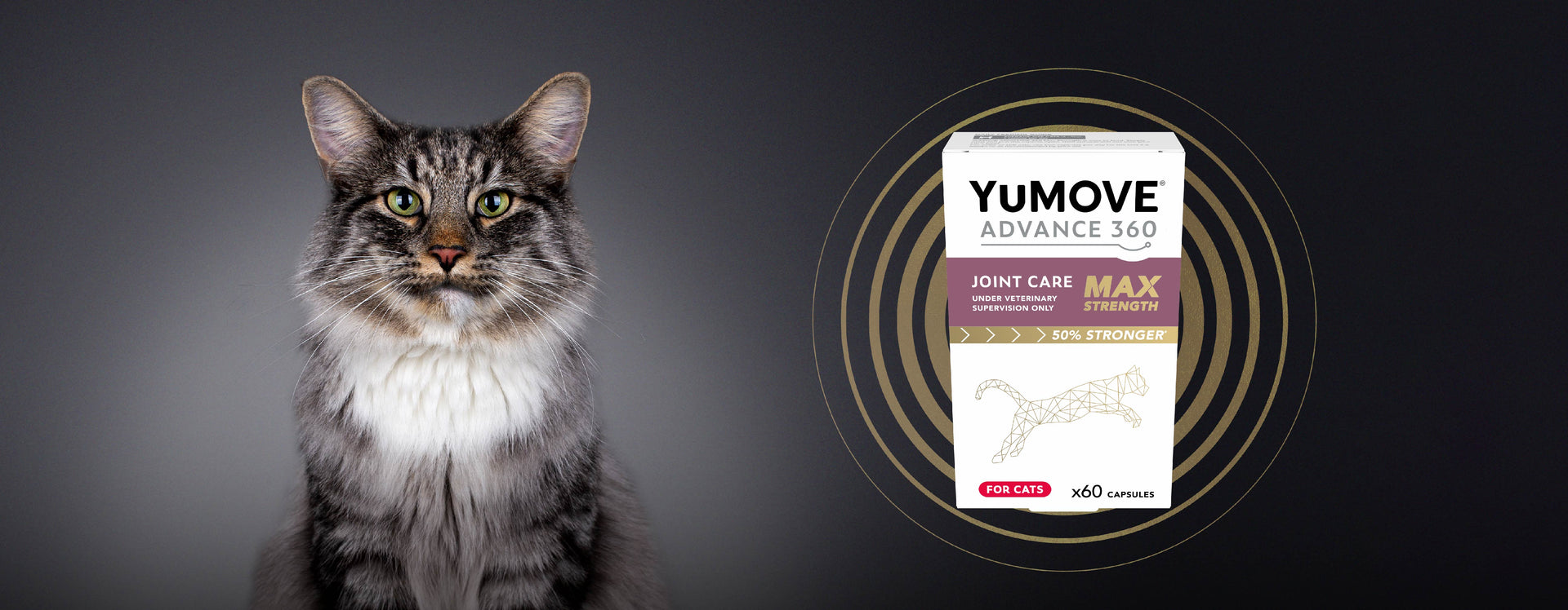 Introducing NEW YuMOVE ADVANCE 360 Max Strength for Cats Vet Rewards