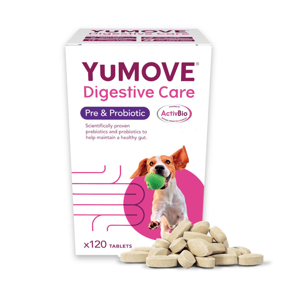 YuMOVE Digestive Care for All Dogs