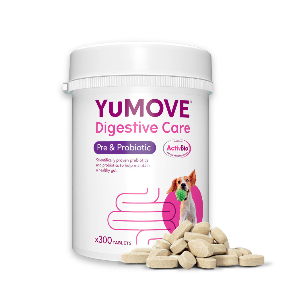 YuMOVE Digestive Care for All Dogs