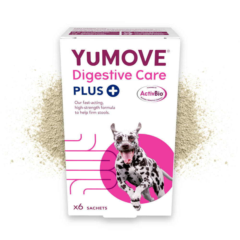 YuMOVE Digestive Care PLUS for Dogs and Cats