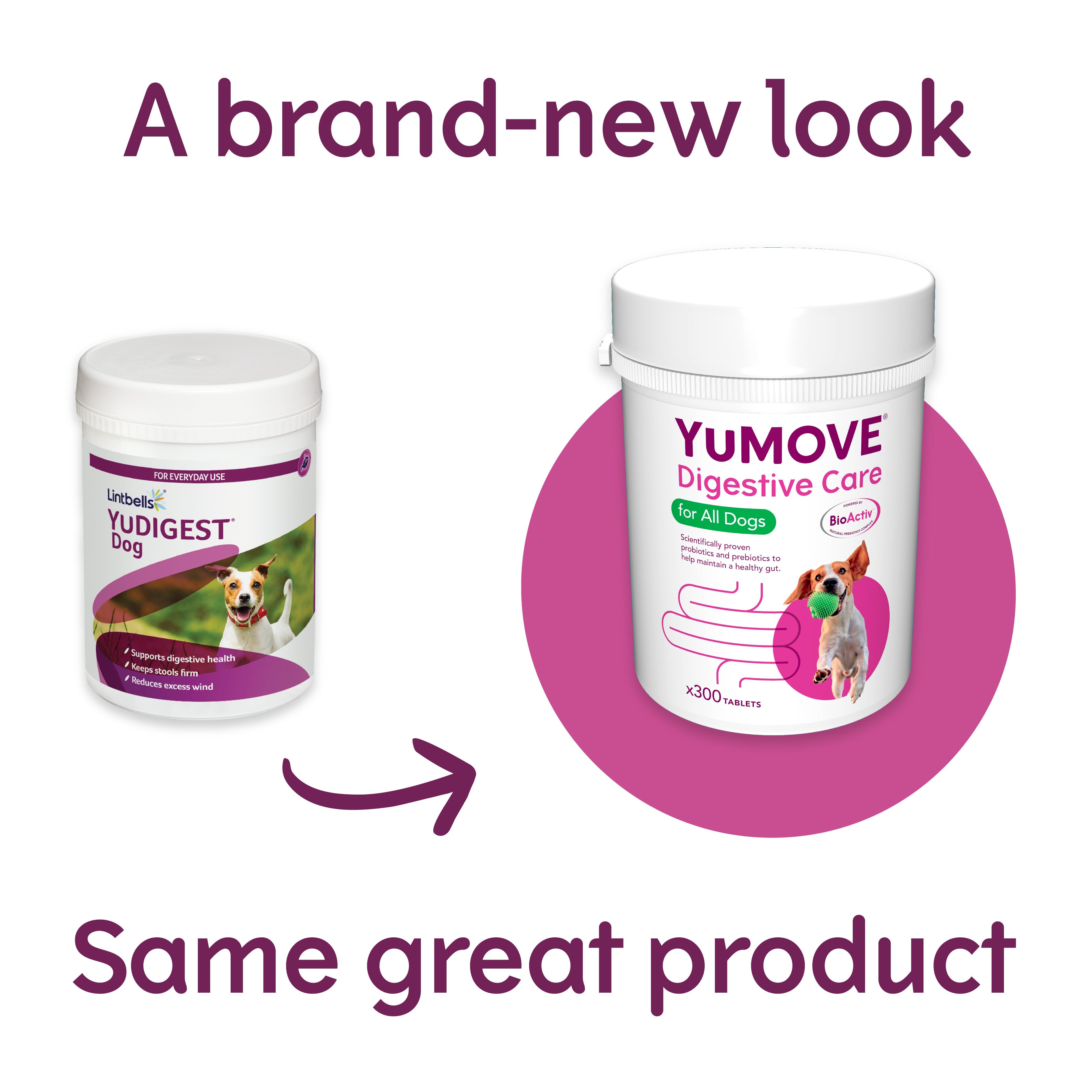 YuMOVE Digestive Care for All Dogs