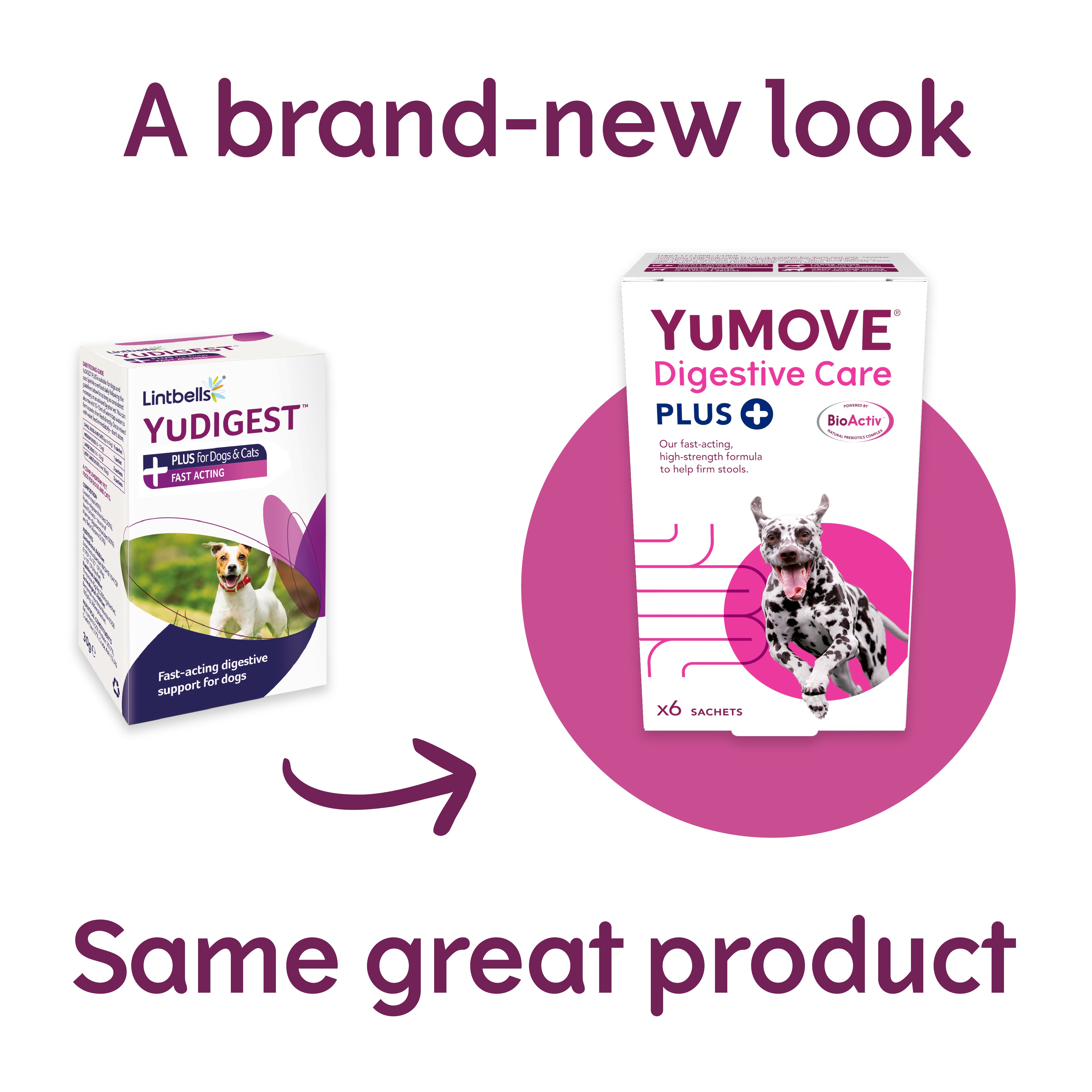 YuMOVE Digestive Care PLUS for Dogs and Cats