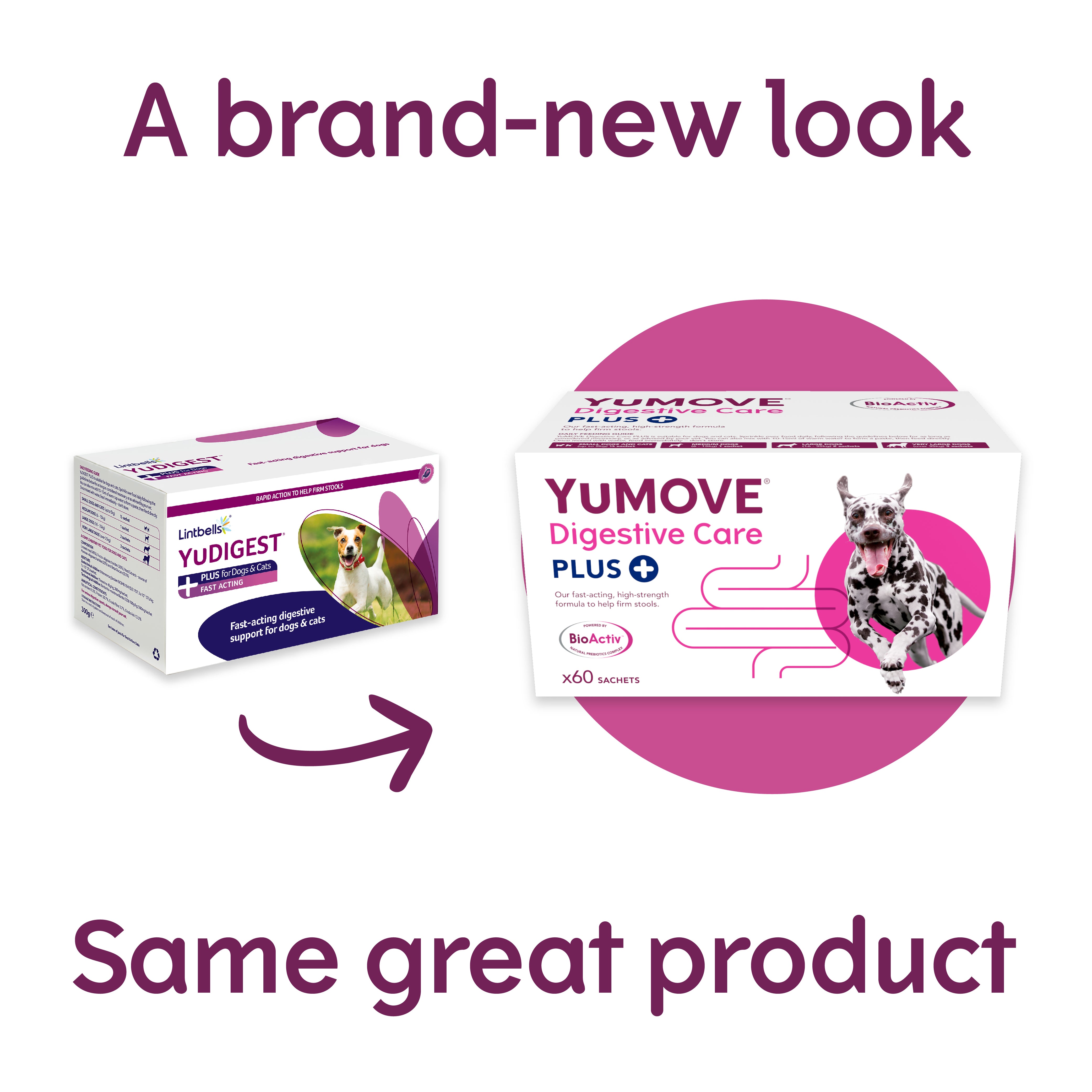 YuMOVE Digestive Care PLUS for Dogs and Cats