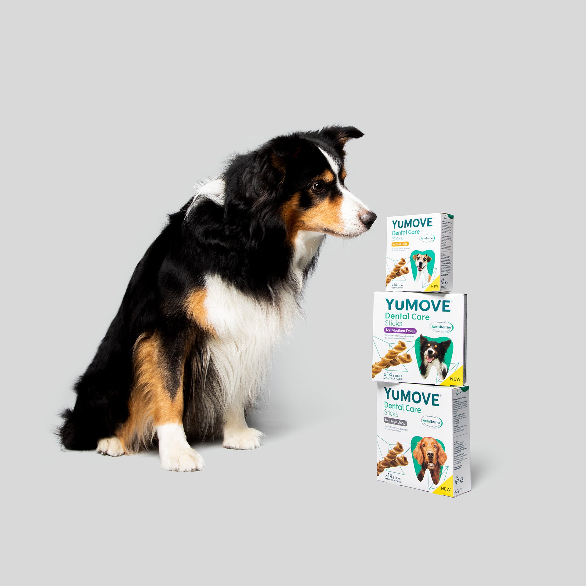 YuMOVE Dental Care Sticks Vet Rewards